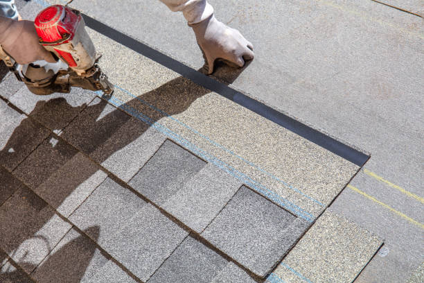 Best Roof Gutter Cleaning  in Junction, TX